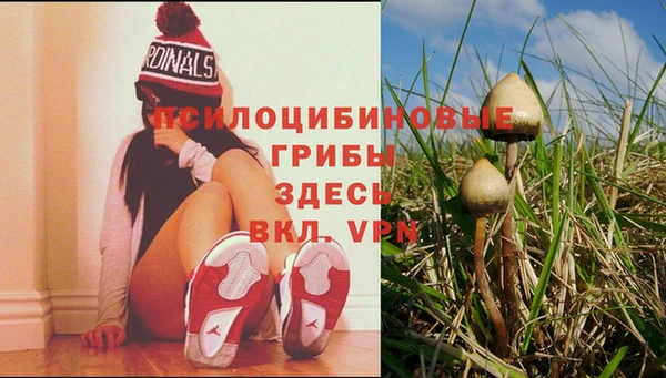 таблы Заволжье