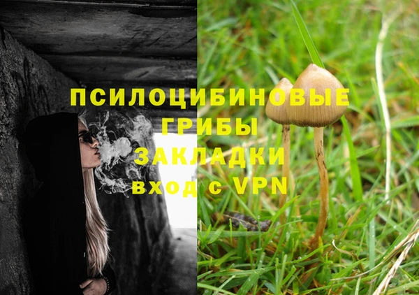 молекула духа Заводоуковск